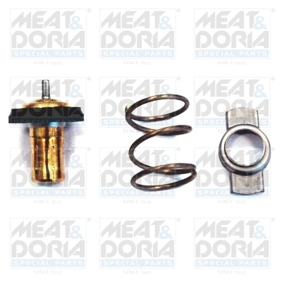 Thermostat, coolant